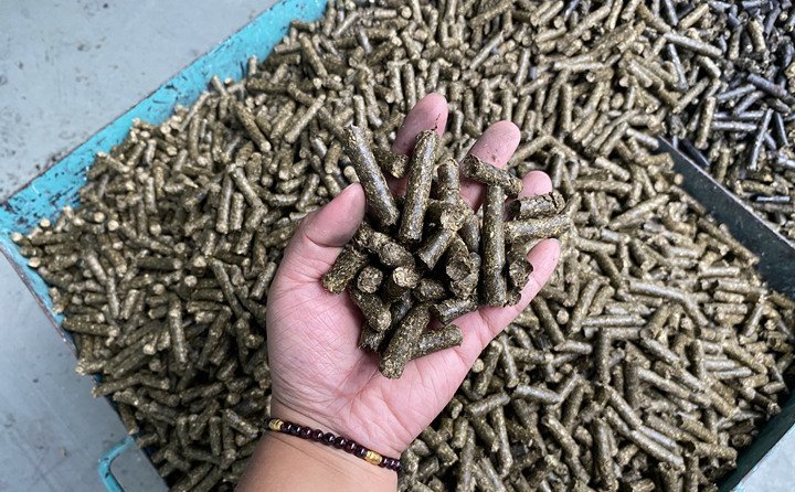 秸稈顆粒機農(nóng)作物秸稈顆粒燃料